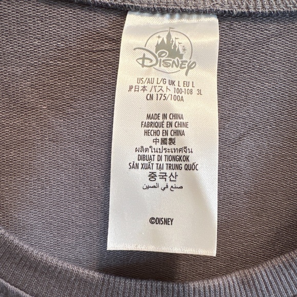 Disneyworld top-gray & pink size L NWT - Picture 3 of 7
